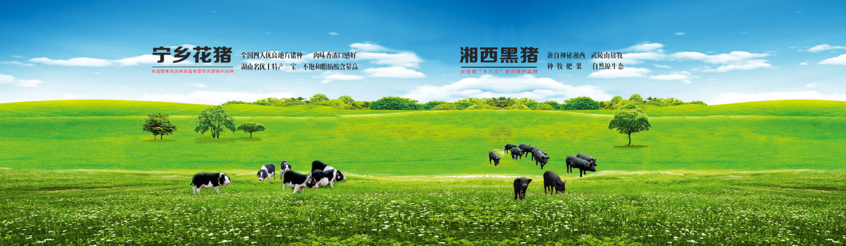 幸运彩(中国区)官方网站